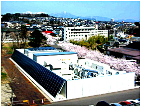 Sight of the Microgrid