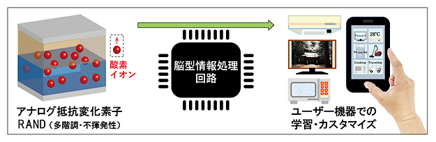 アナログ抵抗変化素子用いたAI半導体向けの脳型情報処理回路イメージ図