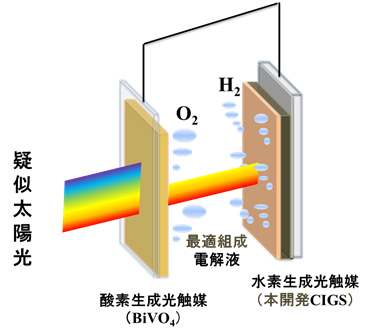 水素生成光触媒（本開発CIGS）と酸素生成光触媒（BiVO4）とからなる2段型セル（タンデム配置）の模式図