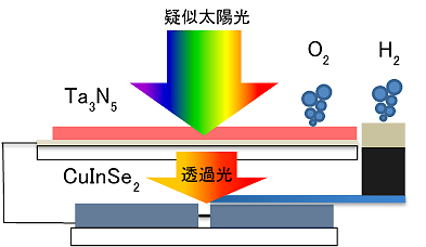 窒化タンタル光触媒をベースとする酸素生成光電極と、CuInSe2をベースとする水素生成光電極とからなるタンデムセルの模式図