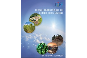Cover of Biomass Carbon Removal and Storage (BiCRS)