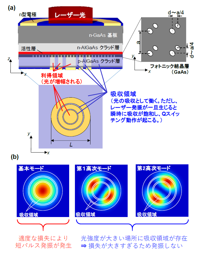 （a）利得と吸収を2次元的に配置した短パルスフォトニック結晶レーザーの模式図、（b）吸収領域の2次元的な配置の例