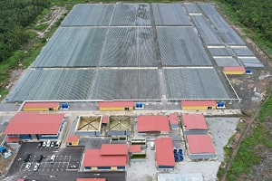 Photo of Microalgae production facility “CHITOSE Carbon Capture Central (C4)”