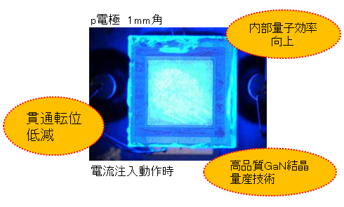 GaN基板による高効率LEDの実現