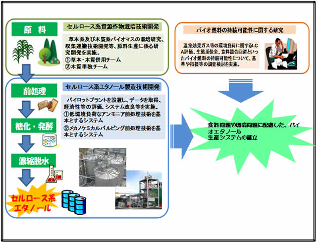 事業説明図