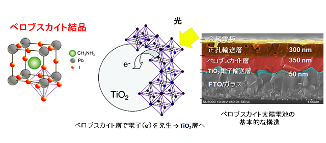 図　開発するペロブスカイト太陽電池の構造の一例