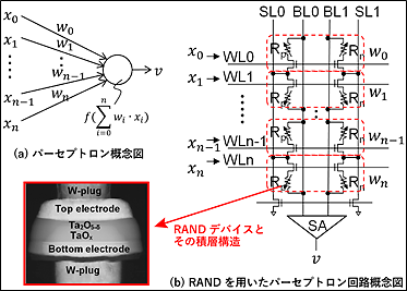 アナログ抵抗変化素子を用いたパーセプトロン回路の図