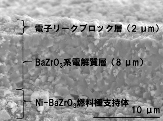 開発中のPCFCにおける破断面電子顕微鏡写真