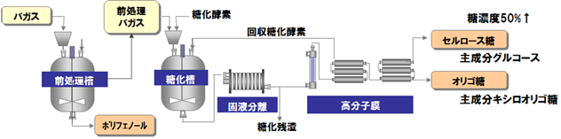 バガスから有用物質（セルロース糖やオリゴ糖、ポリフェノール）を製造する工程フロー図