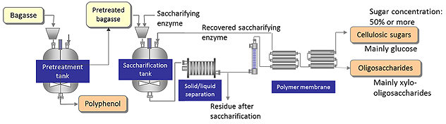 Figure of　Process flow for producing useful materials such as cellulosic sugars, oligosaccharides, and polyphenols from bagasse