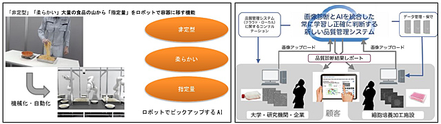 （1）生産性、（2）健康、医療・介護、各分野最優秀賞を受賞した研究テーマのイメージ