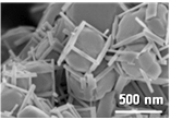 今回開発した単結晶窒化タンタル（Ta3N5）微粒子光触媒（電子顕微鏡写真）