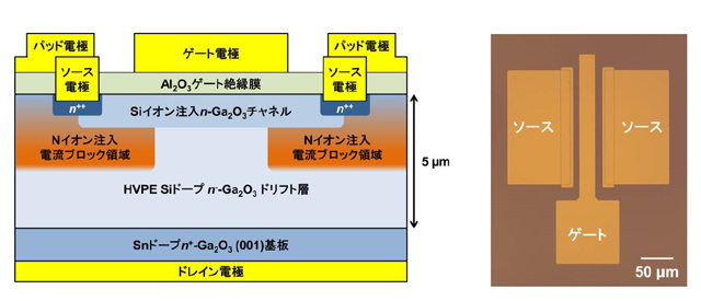 開発した縦型Ga2O3トランジスタ構造の断面模式図（左）、光学顕微鏡写真（右）（提供：NICT）の図