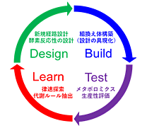 BIAの高生産化を可能にしたワークフローの図