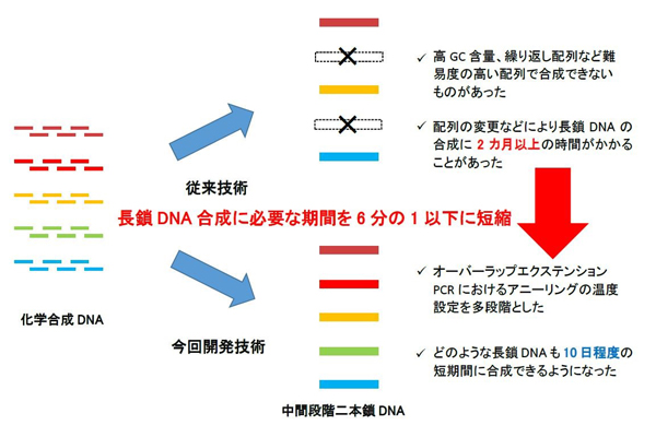 従来と今回の長鎖DNA合成技術の比較