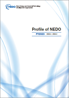 Profile of NEDO cover image