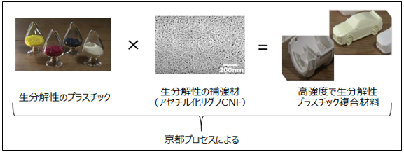 アセチル化リグノCNFで補強された生分解性プラスチックのイメージの図