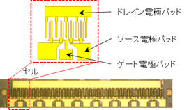 （上：セル構造、下：上面写真）