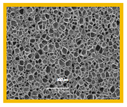 「STARCEL®」を使用した発泡体の電子顕微鏡写真