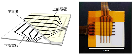 圧力分布を取得するマトリクスアレイ構造のイメージ図と試作センサーの写真