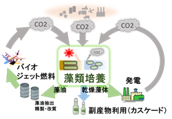 微細藻類カーボンリサイクル技術イメージ