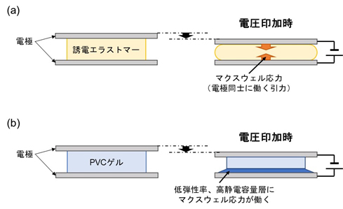 （a）誘電エラストマーの変形概略図と、（b）PVCゲルのクリープ変形挙動