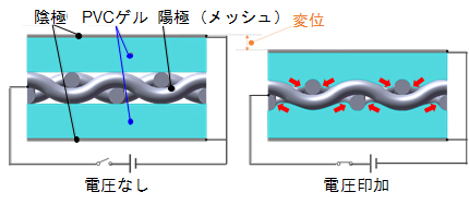 PVCゲルアクチュエーターの構造の断面イメージと変形イメージ
