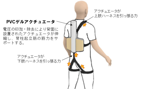 腰サポートウエアの上肢・下肢ハーネスに働く力