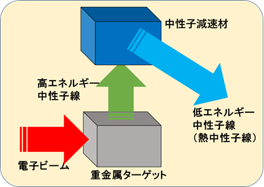 低エネルギー中性子線の発生法概念を表した図