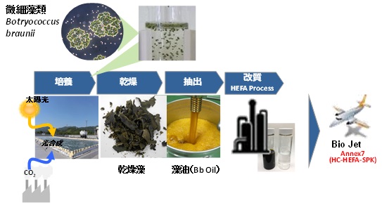 微細藻類からのバイオジェット燃料製造プロセス