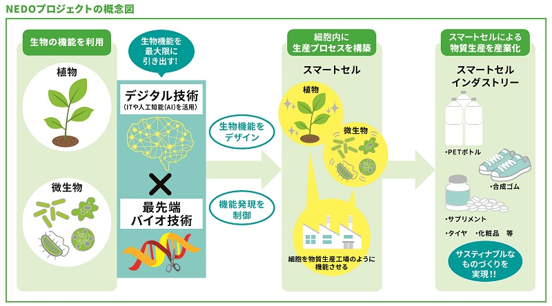 スマートセルプロジェクト概要　その1