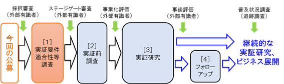 今回の公募