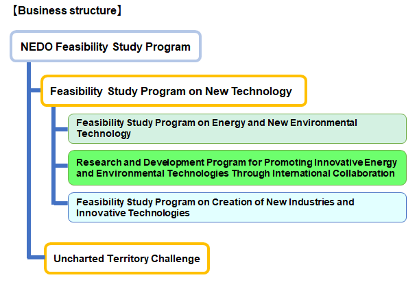Chart summarizing the structure of NEDO Feasibility Study Program