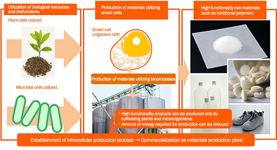 Utilization of biological resources and biofunctions Plant cells utilized Production of materials utilizing smart cells High-functionality raw materials such as functional polymers Smart cell (organism cell) Microbial cells utilized. Production of materials utilizing bioprocesses ・High-functionality products can be produced only by cultivating plants and microorganisms.・Amount of energy required for production can be reduced