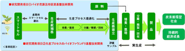 「カーボンリサイクル実現を加速するバイオ由来製品生産技術の開発」の概要