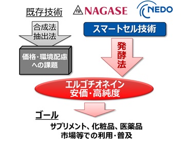 プロジェクト概要