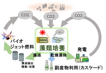 バイオジェット燃料の普及を推進する研究開発6件を始動 Nedo