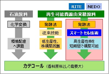 カテコール生産技術の比較