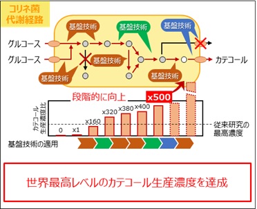 研究開発成果