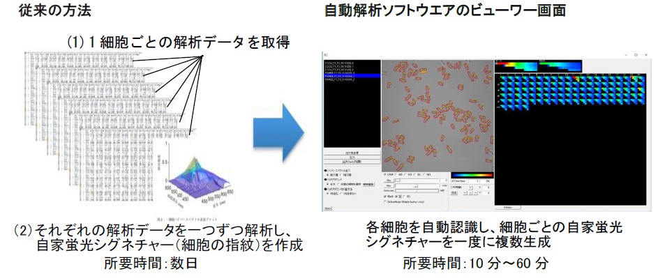 自動解析ソフトウエアの図