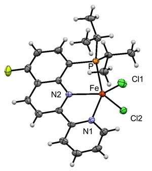 鉄錯体触媒の構造（X線結晶構造解析ORTEP図）