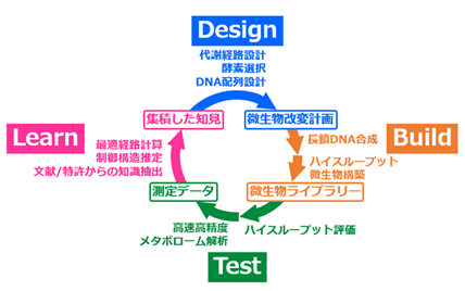 DBTLワークフローの図