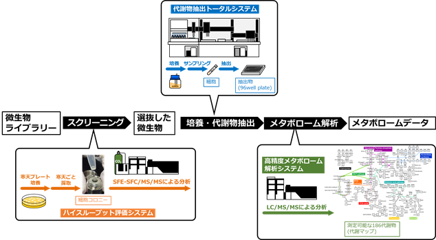 メタボローム解析システムの概要の図