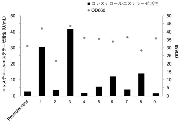 プロモーター活性の確認グラフ