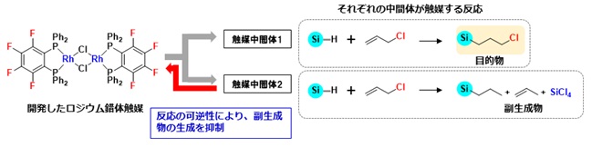 新しく開発したロジウム錯体触媒によるシランカップリング剤原料（クロロプロピルシラン）の選択的合成の図