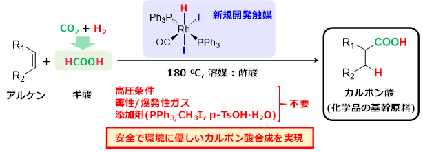 今回開発した高効率触媒を用いたギ酸とアルケンからのカルボン酸合成反応の概要図