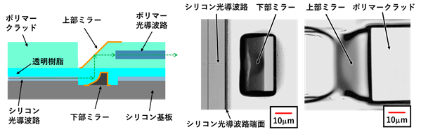 今回開発した3次元マイクロミラーの画像