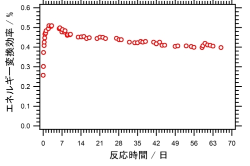 疑似太陽光を昼夜連続照射したときの活性の時間変化