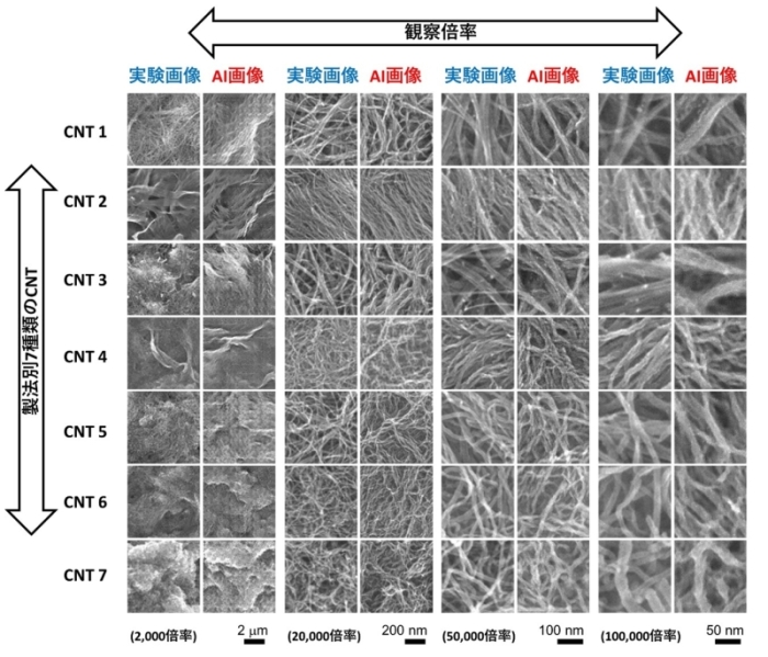 実際に製造したCNT膜と今回開発したAI技術で生成したCNT膜の構造画像の比較