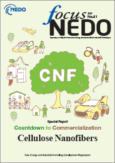  Image of the cover of Focus NEDO No. 81